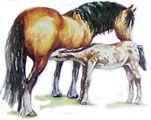 Лошадь с детенышем