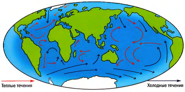 Теплые и холодные течения