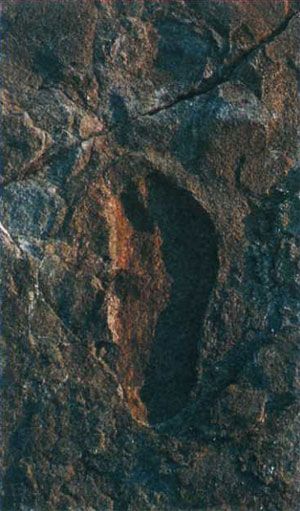 След, датируемый 3.8 миллионами лет назад